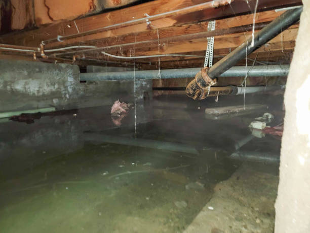 Best Ceiling water damage repair  in Kernersville, NC