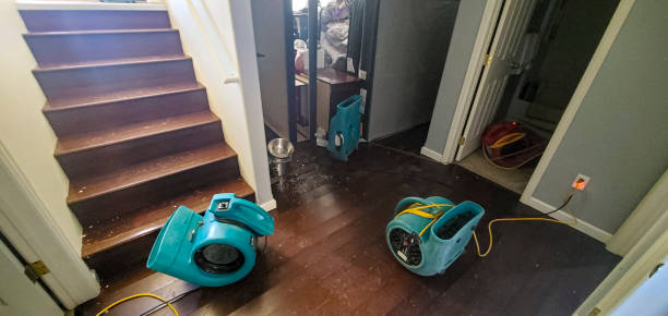 Best Local water damage restoration  in Kernersville, NC