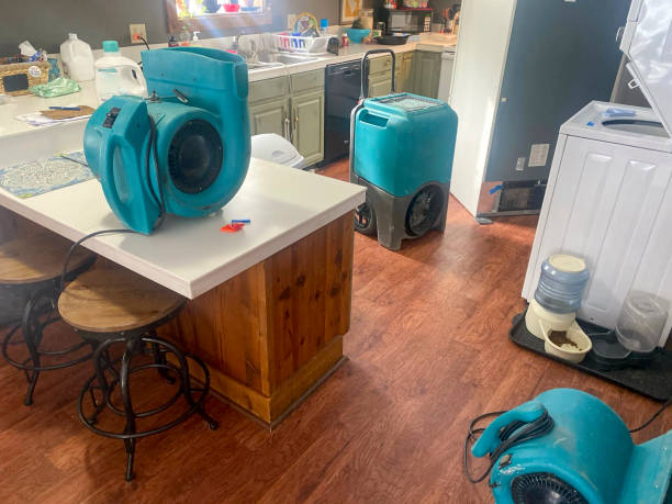 Best Local water damage restoration  in Kernersville, NC